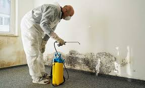 Best Biohazard Mold Removal  in , IN